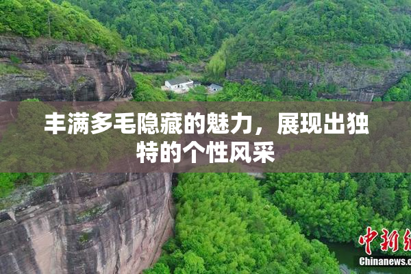 丰满多毛隐藏的魅力，展现出独特的个性风采