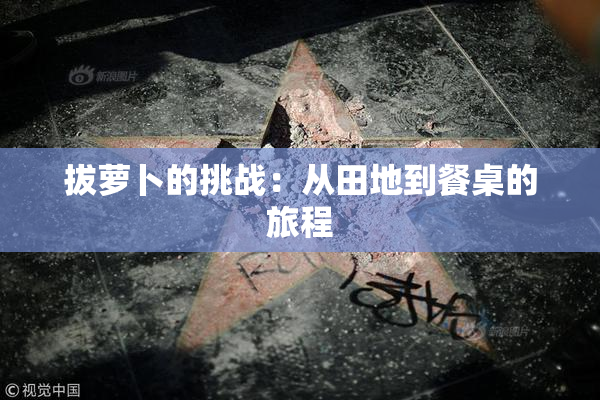 拔萝卜的挑战：从田地到餐桌的旅程