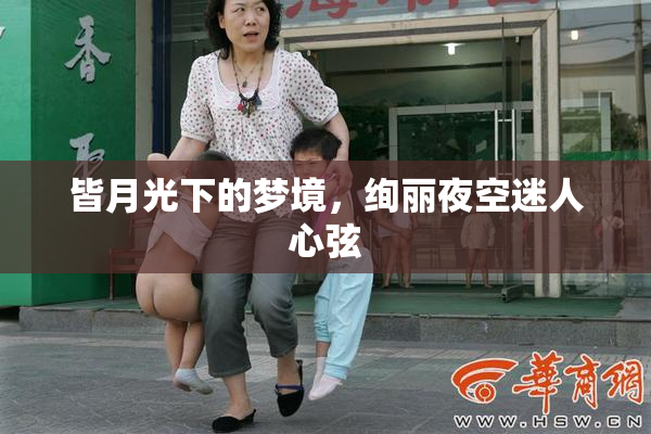 皆月光下的梦境，绚丽夜空迷人心弦
