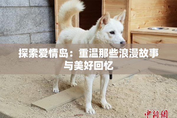 探索爱情岛：重温那些浪漫故事与美好回忆