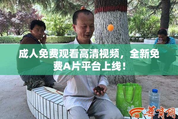 成人免费观看高清视频，全新免费A片平台上线！