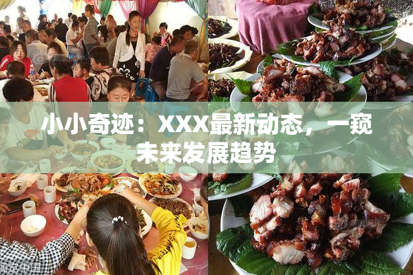 小小奇迹：XXX最新动态，一窥未来发展趋势