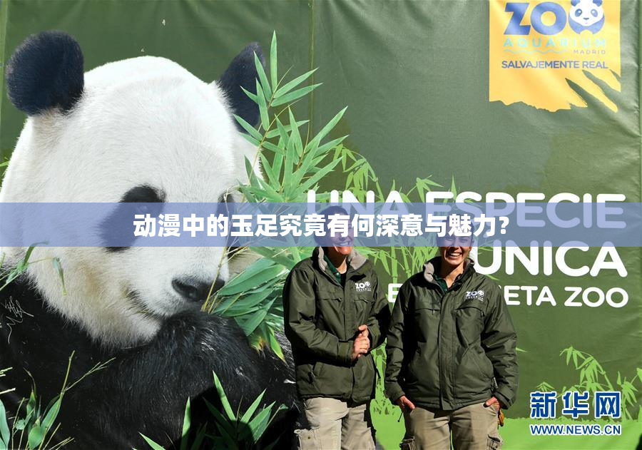动漫中的玉足究竟有何深意与魅力？