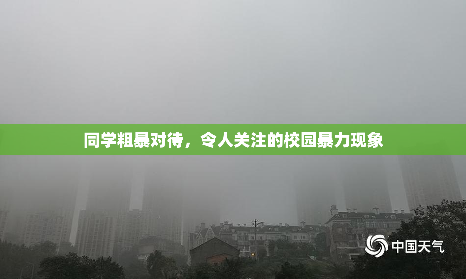 同学粗暴对待，令人关注的校园暴力现象