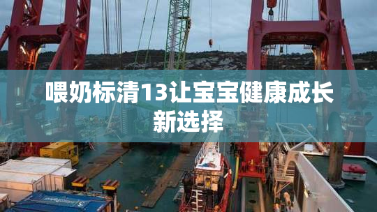 喂奶标清13让宝宝健康成长新选择