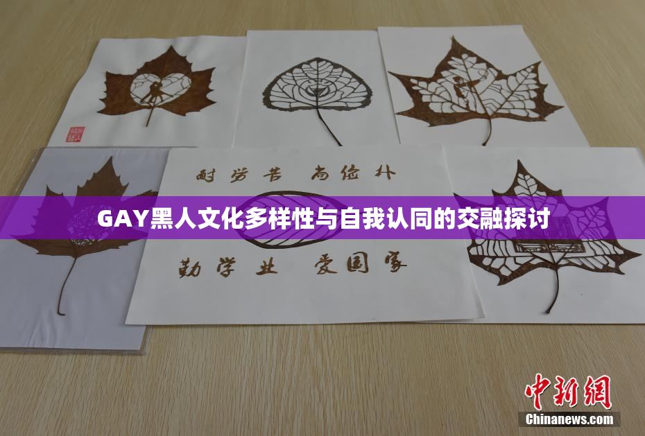 GAY黑人文化多样性与自我认同的交融探讨