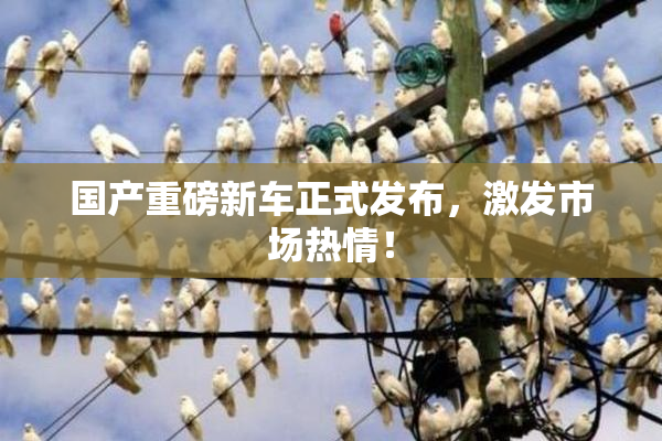 国产重磅新车正式发布，激发市场热情！