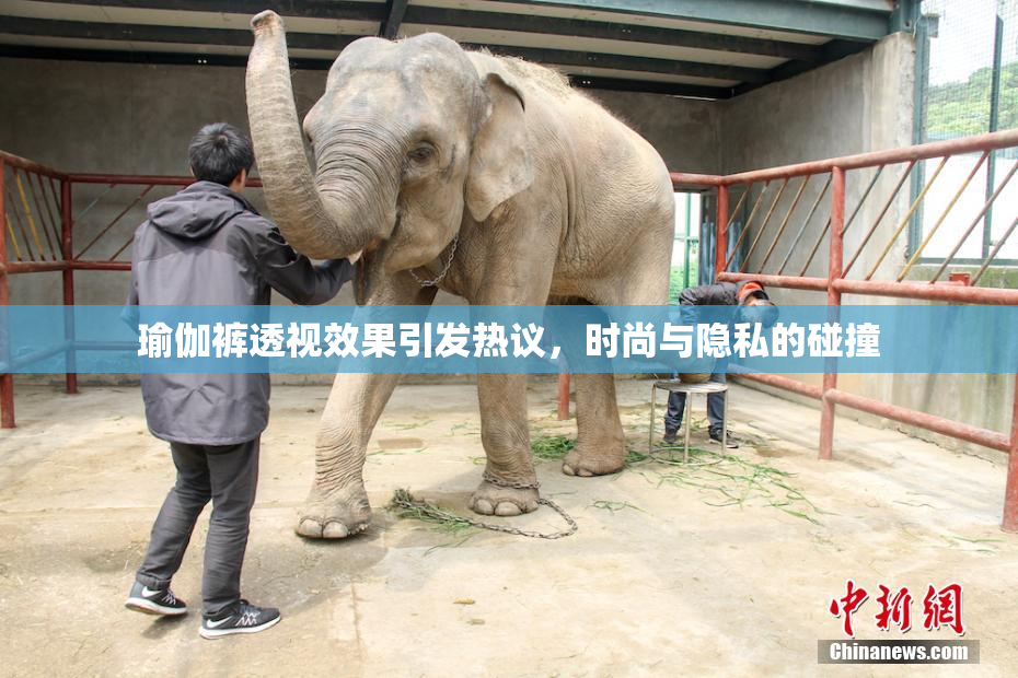 瑜伽裤透视效果引发热议，时尚与隐私的碰撞