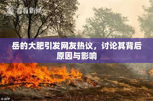 岳的大肥引发网友热议，讨论其背后原因与影响