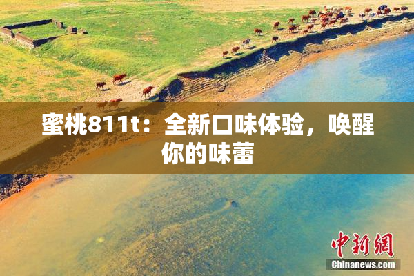 蜜桃811t：全新口味体验，唤醒你的味蕾