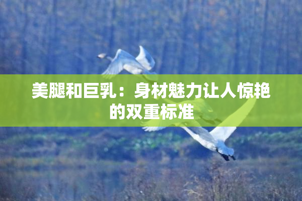 美腿和巨乳：身材魅力让人惊艳的双重标准