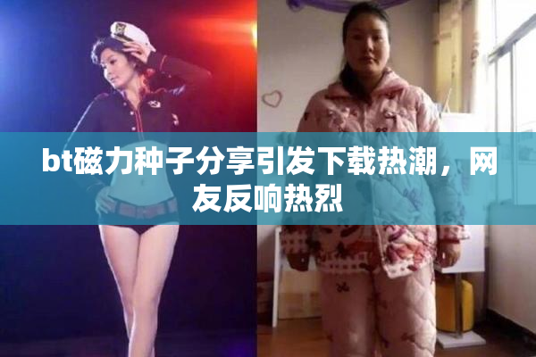 bt磁力种子分享引发下载热潮，网友反响热烈
