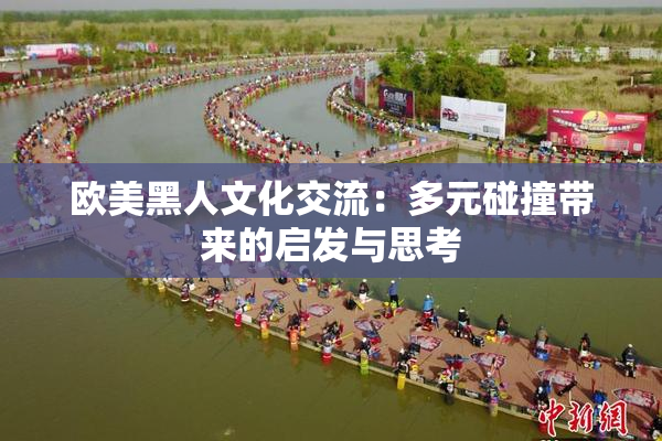 欧美黑人文化交流：多元碰撞带来的启发与思考