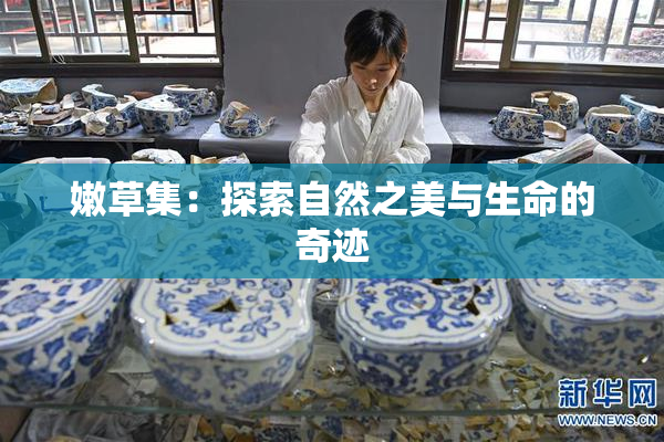 嫩草集：探索自然之美与生命的奇迹