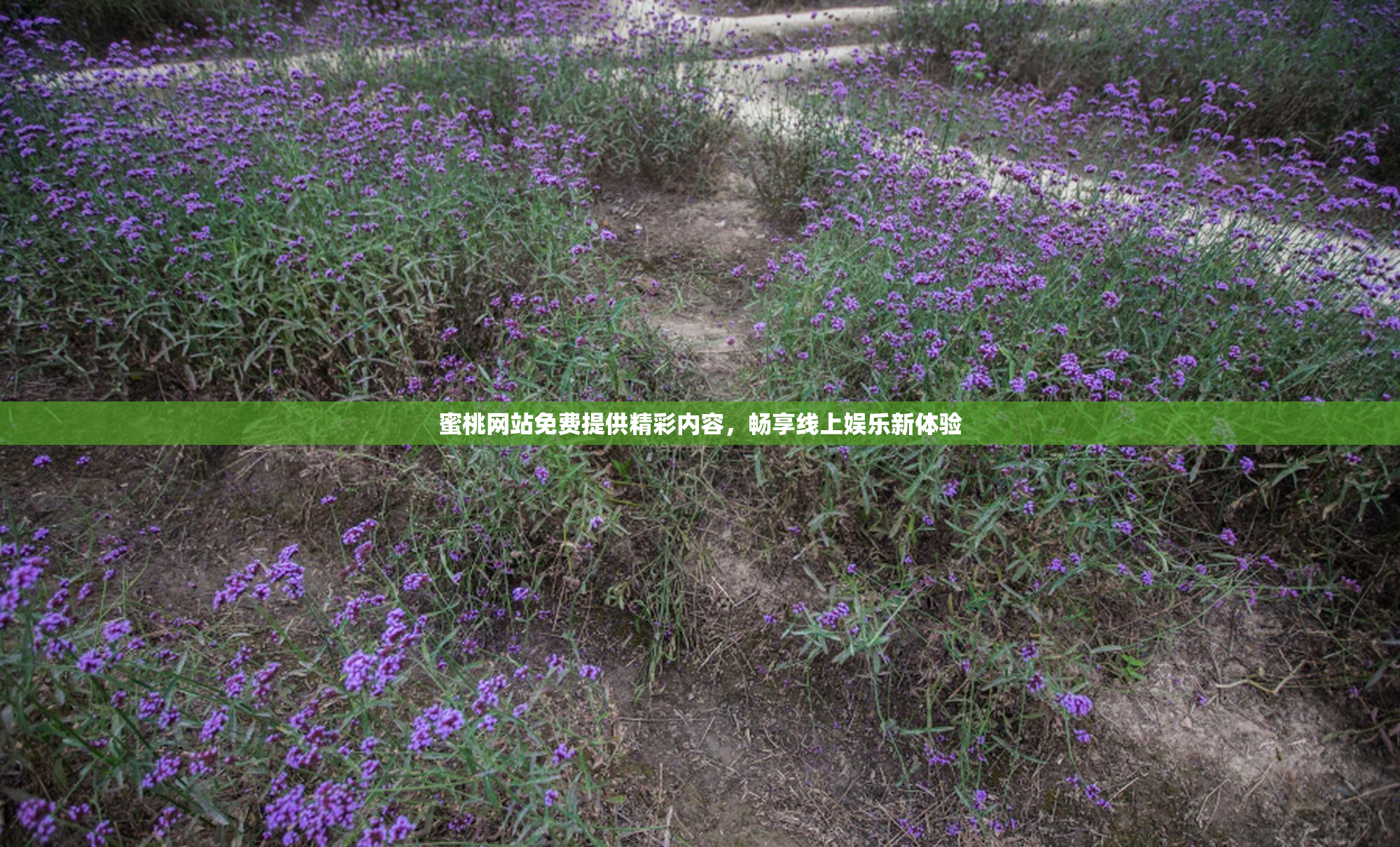 蜜桃网站免费提供精彩内容，畅享线上娱乐新体验