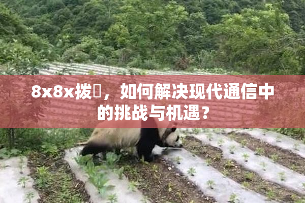 8x8x拨牐，如何解决现代通信中的挑战与机遇？