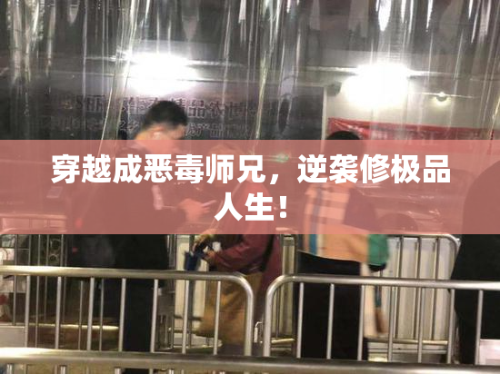 穿越成恶毒师兄，逆袭修极品人生！