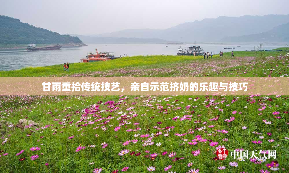 甘雨重拾传统技艺，亲自示范挤奶的乐趣与技巧