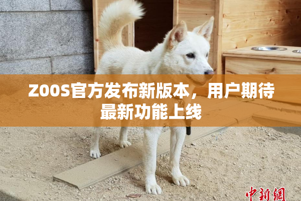 Z00S官方发布新版本，用户期待最新功能上线