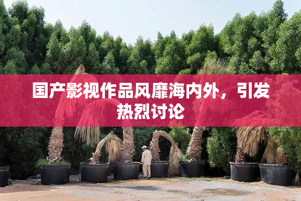 国产影视作品风靡海内外，引发热烈讨论