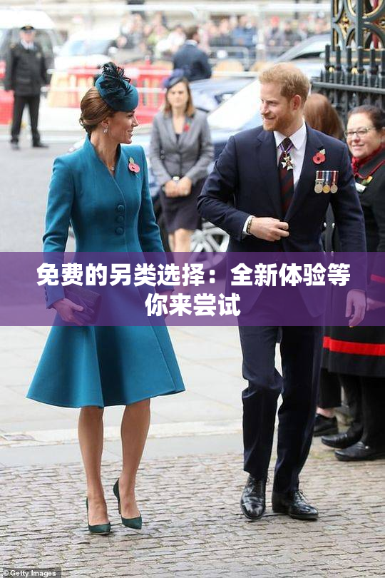 免费的另类选择：全新体验等你来尝试