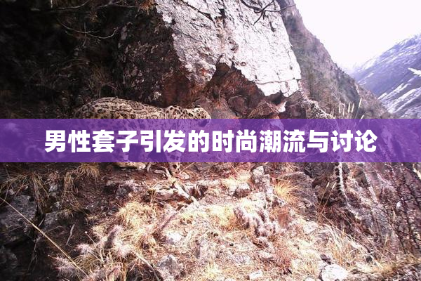 男性套子引发的时尚潮流与讨论
