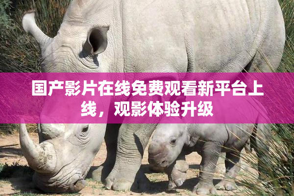 国产影片在线免费观看新平台上线，观影体验升级