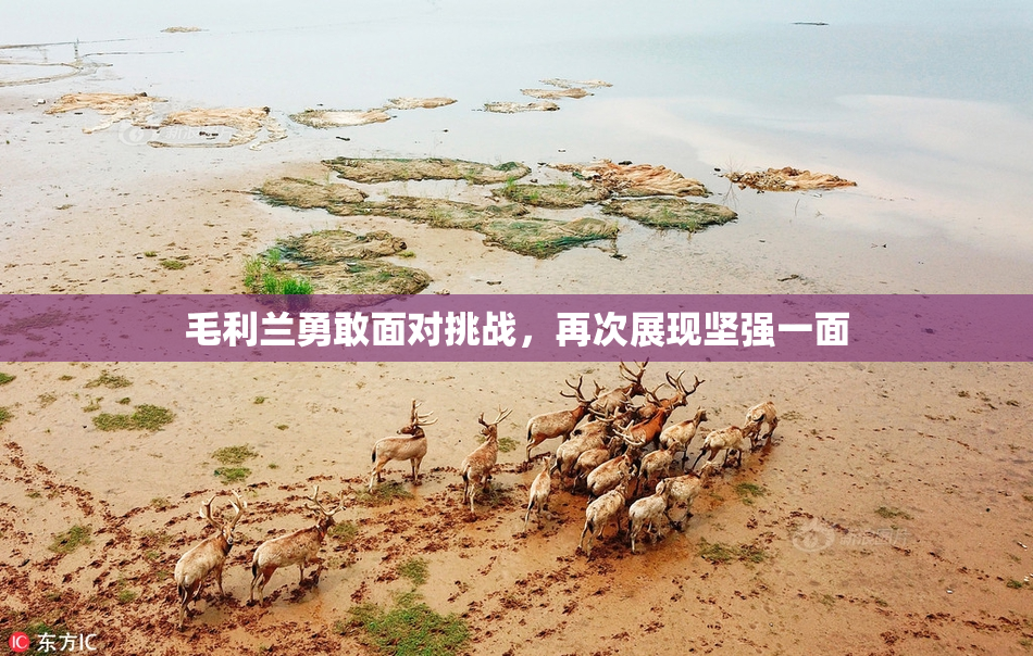 毛利兰勇敢面对挑战，再次展现坚强一面