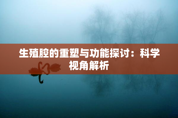 生殖腔的重塑与功能探讨：科学视角解析