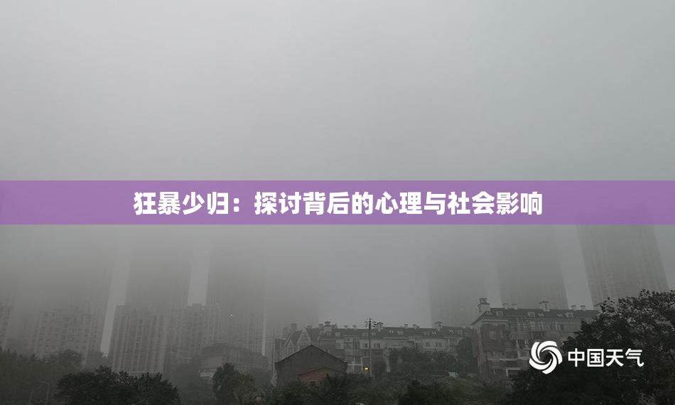 狂暴少归：探讨背后的心理与社会影响