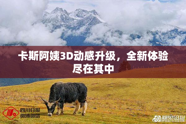 卡斯阿姨3D动感升级，全新体验尽在其中