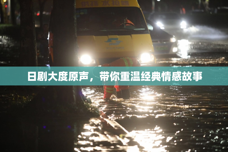 日剧大度原声，带你重温经典情感故事