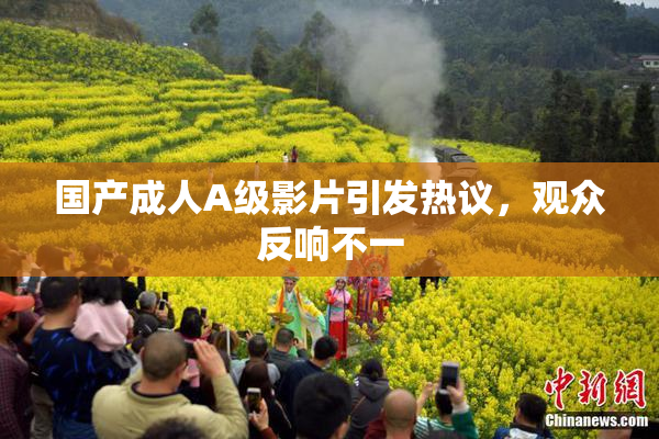国产成人A级影片引发热议，观众反响不一