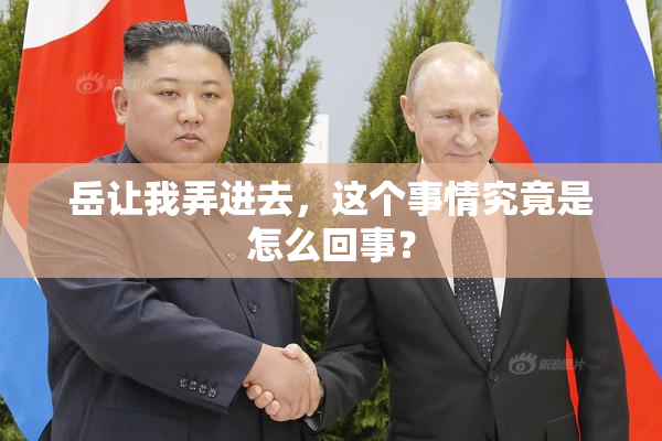 岳让我弄进去，这个事情究竟是怎么回事？