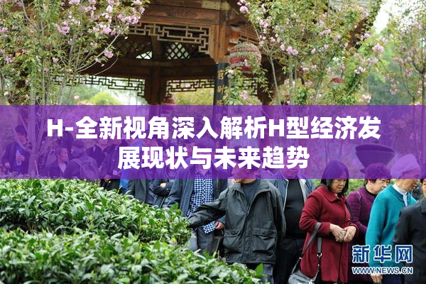 H-全新视角深入解析H型经济发展现状与未来趋势