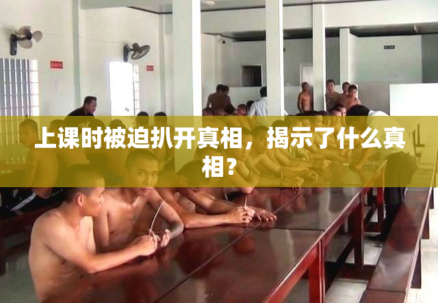 上课时被迫扒开真相，揭示了什么真相？