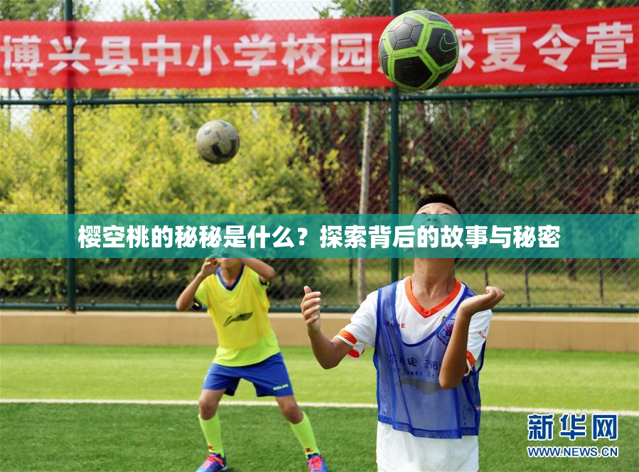 樱空桃的秘秘是什么？探索背后的故事与秘密