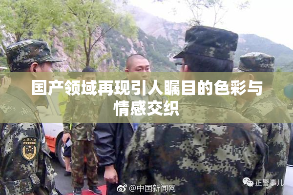 国产领域再现引人瞩目的色彩与情感交织