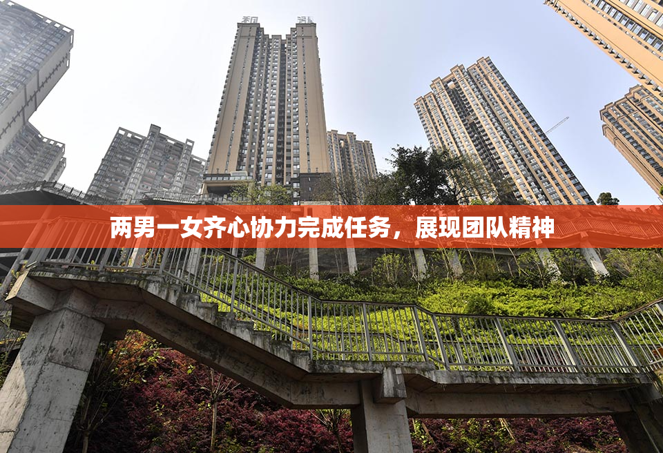 两男一女齐心协力完成任务，展现团队精神