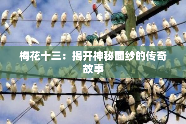梅花十三：揭开神秘面纱的传奇故事