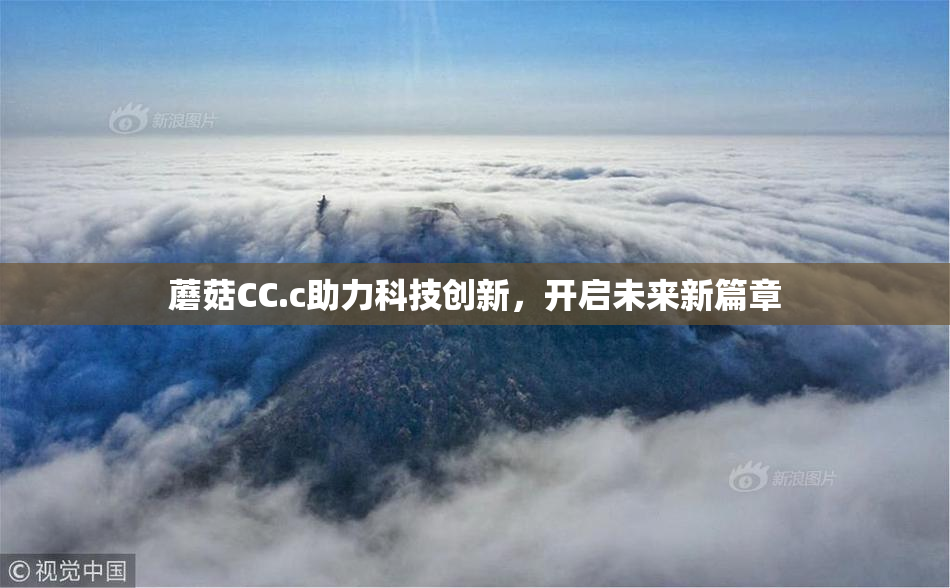 蘑菇CC.c助力科技创新，开启未来新篇章