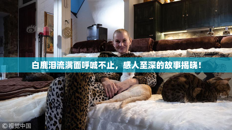 白鹿泪流满面呼喊不止，感人至深的故事揭晓！
