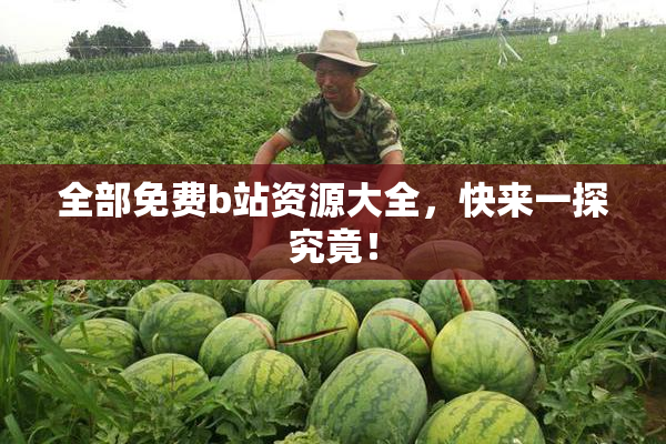 全部免费b站资源大全，快来一探究竟！