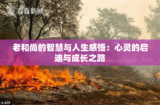 老和尚的智慧与人生感悟：心灵的启迪与成长之路