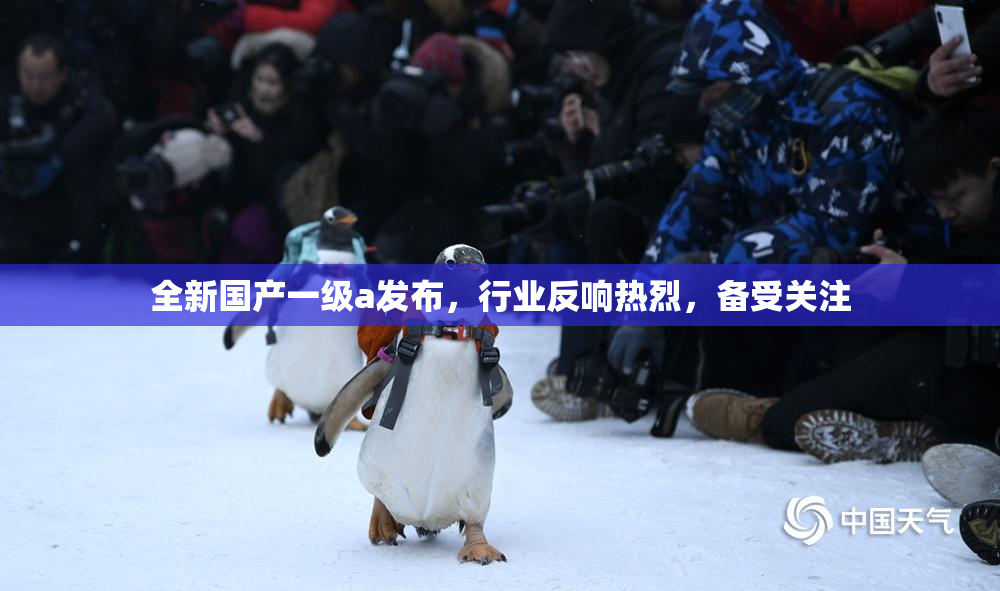 全新国产一级a发布，行业反响热烈，备受关注