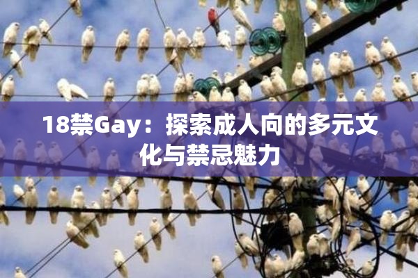 18禁Gay：探索成人向的多元文化与禁忌魅力