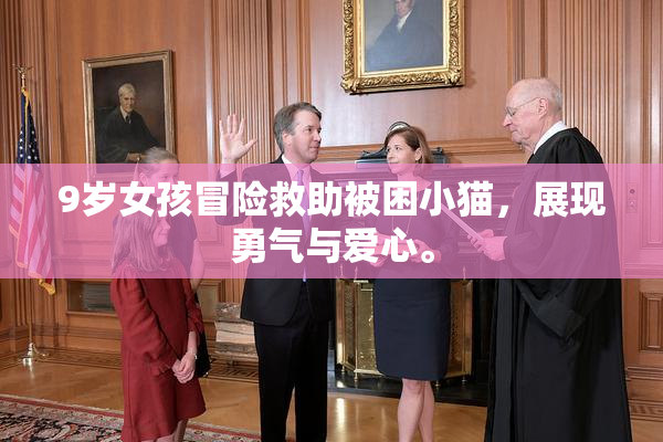 9岁女孩冒险救助被困小猫，展现勇气与爱心。