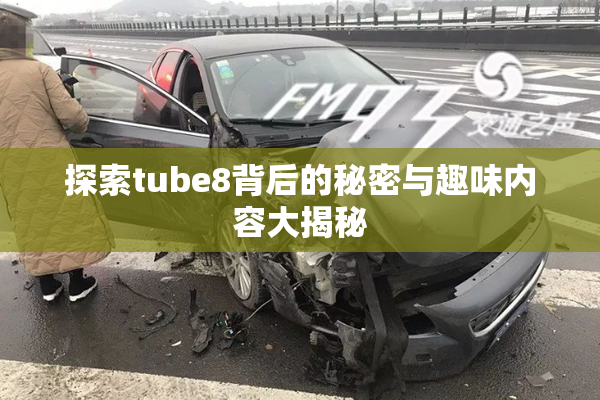 探索tube8背后的秘密与趣味内容大揭秘