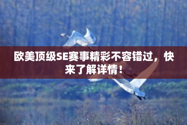 欧美顶级SE赛事精彩不容错过，快来了解详情！