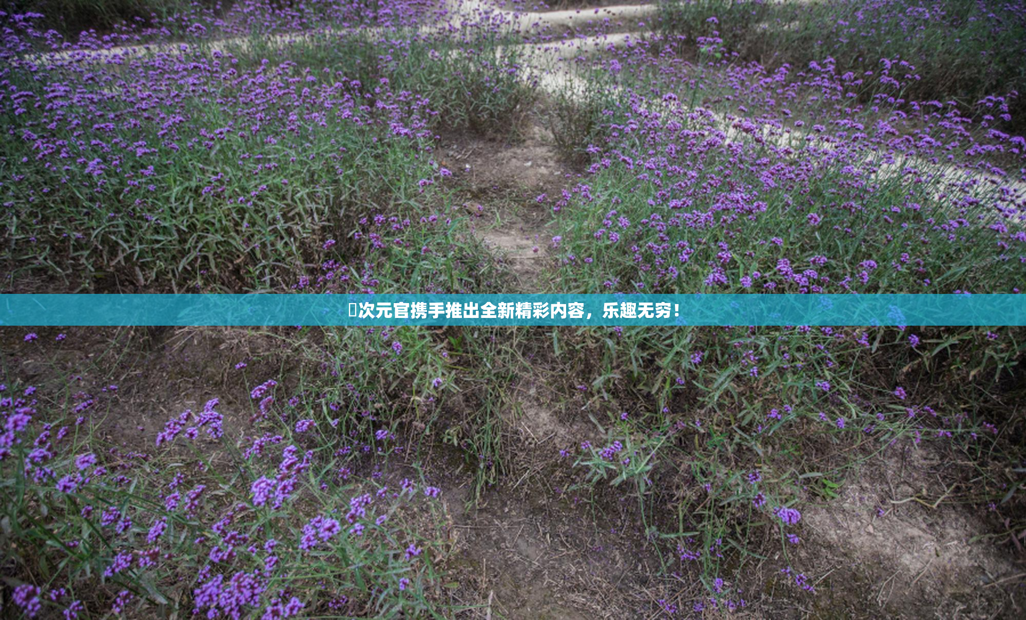 囧次元官携手推出全新精彩内容，乐趣无穷！